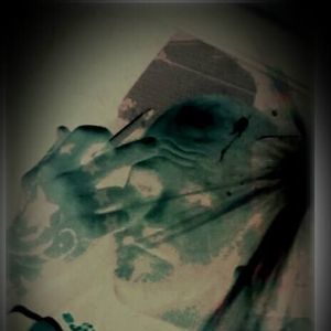 Meet your Posher, Zach